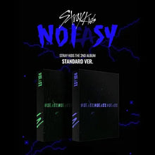 Load image into Gallery viewer, Stray Kids No Easy
