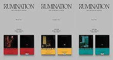 Load image into Gallery viewer, SF9 Rumination
